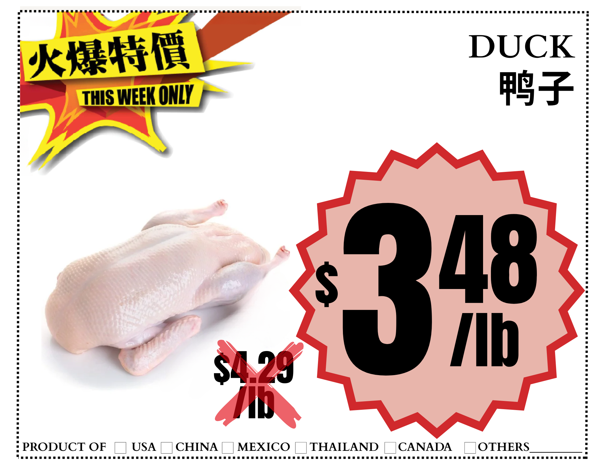 duck (headless) 无头鸭.png