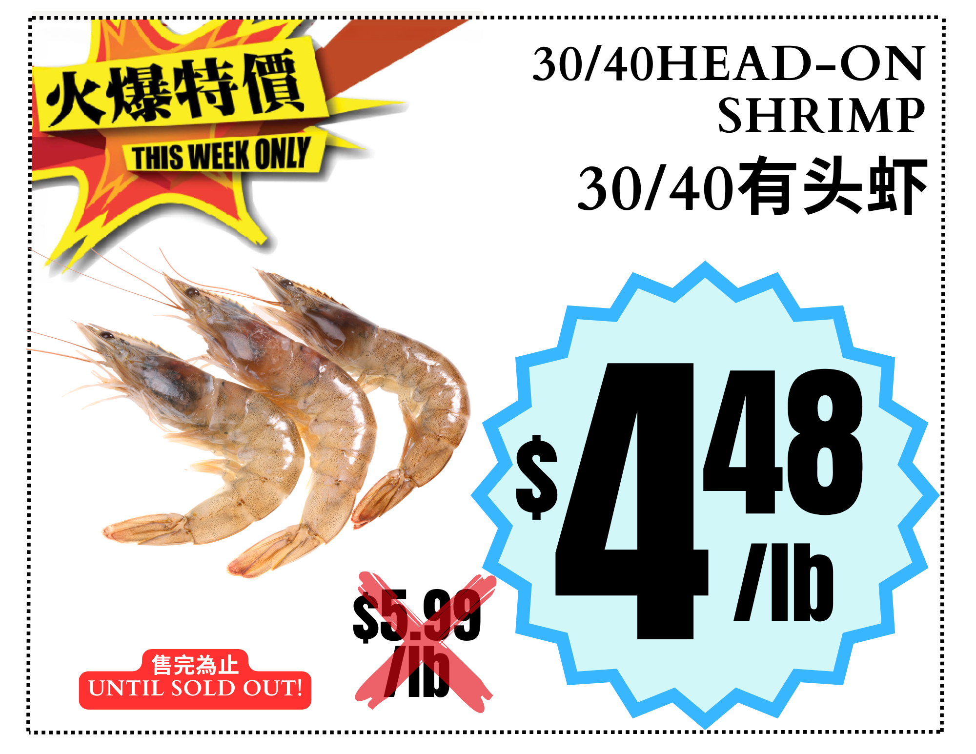 Head-On Shrimp NEW.png