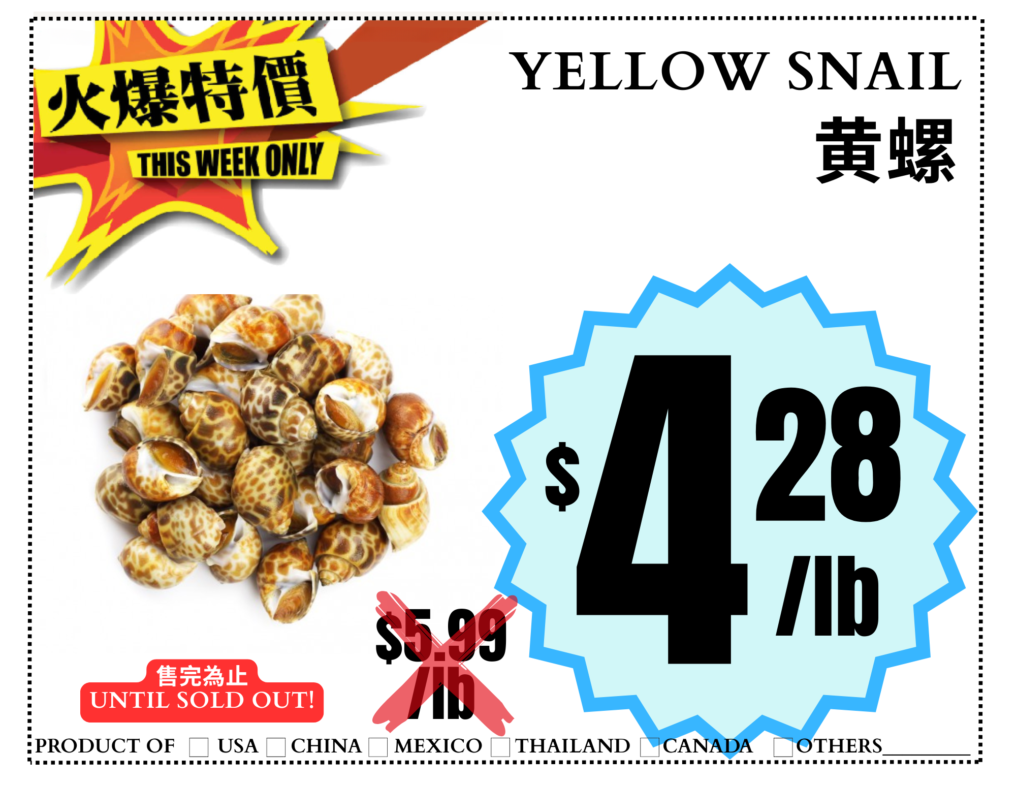 yellow snail 黄螺.png